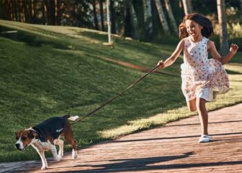 Successful purchase of a finished company