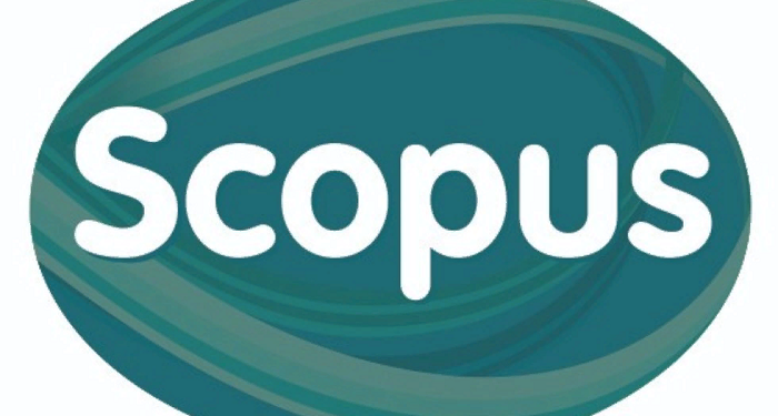 Как успешно опубликовать статью в Скопусе: преимущества заказа у SOER Publishing