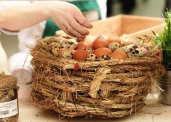 Стоит ли покупать фермерские продукты для общепита