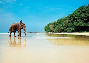 Путешествие по очаровательным достопримечательностям Гоа: основные моменты экскурсии