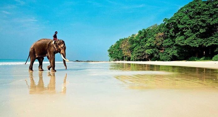 Путешествие по очаровательным достопримечательностям Гоа: основные моменты экскурсии