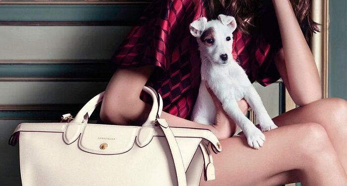 Brand handbags: advantages, types, recommendations for choosing