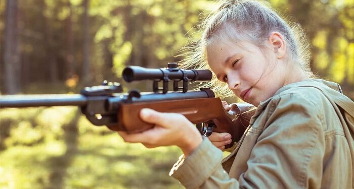 Що таке пневматична зброя та правила використання
