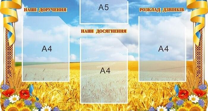 Вибір стендів для шкіл: основні характеристики та критерії вибору