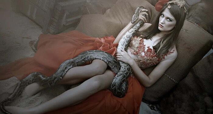 До чого сняться змії – таємниці символу та різні тлумачення снів