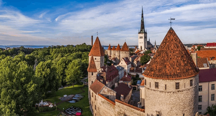Submission and preparation of reports for the State Revenue Service in Estonia