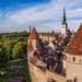 Submission and preparation of reports for the State Revenue Service in Estonia