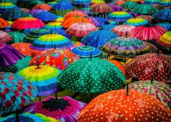 Парасольки оптом: вигідне рішення для бізнесу та роздрібних продавців